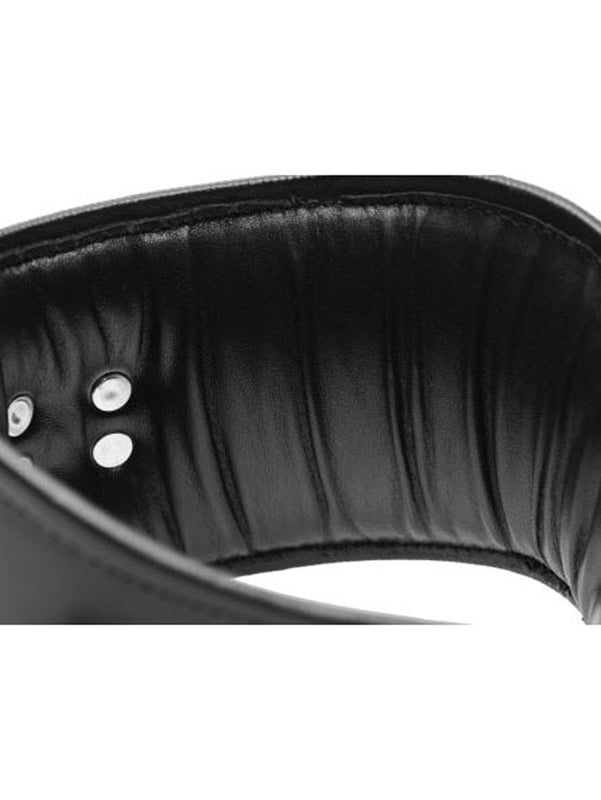 Padded Leather Locking Posture Collar - UABDSM